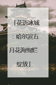 花语冰城：哈尔滨五月花海绚烂绽放