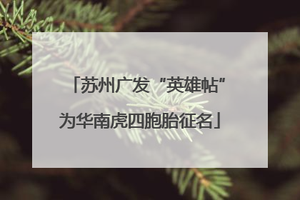 苏州广发“英雄帖”为华南虎四胞胎征名