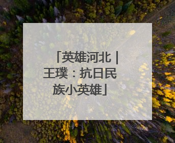 英雄河北｜王璞：抗日民族小英雄