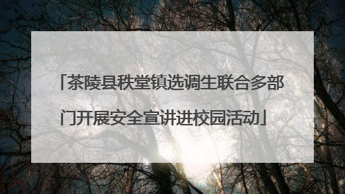 茶陵县秩堂镇选调生联合多部门开展安全宣讲进校园活动