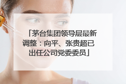 茅台集团领导层最新调整：向平、张贵超已出任公司党委委员