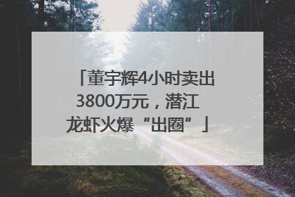 董宇辉4小时卖出3800万元，潜江龙虾火爆“出圈”