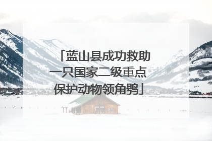 蓝山县成功救助一只国家二级重点保护动物领角鸮