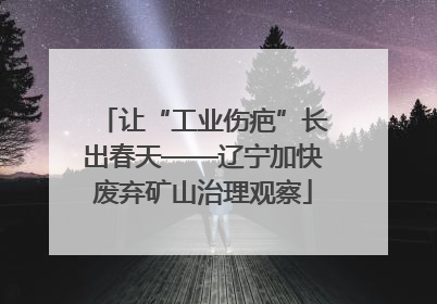 让“工业伤疤”长出春天——辽宁加快废弃矿山治理观察