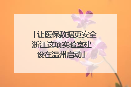 让医保数据更安全 浙江这项实验室建设在温州启动