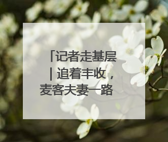 记者走基层｜追着丰收，麦客夫妻一路向北