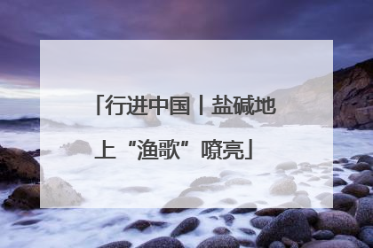 行进中国丨盐碱地上“渔歌”嘹亮