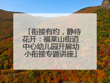 衔接有约，静待花开：福莱山街道中心幼儿园开展幼小衔接专题讲座