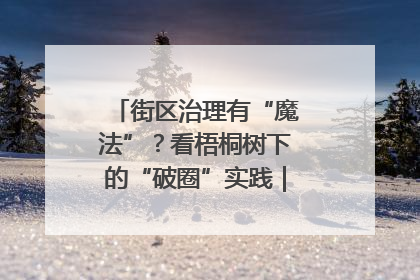 街区治理有“魔法”？看梧桐树下的“破圈”实践｜我在街区当书记