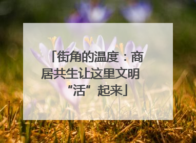 街角的温度：商居共生让这里文明“活”起来