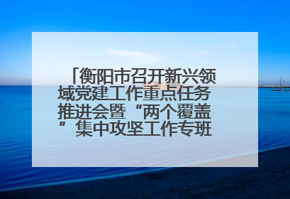 衡阳市召开新兴领域党建工作重点任务推进会暨“两个覆盖”集中攻坚工作专班 第一次会议