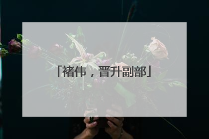 褚伟，晋升副部