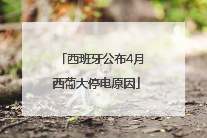 西班牙公布4月西葡大停电原因