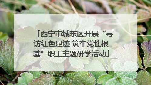 西宁市城东区开展“寻访红色足迹 筑牢党性根基”职工主题研学活动