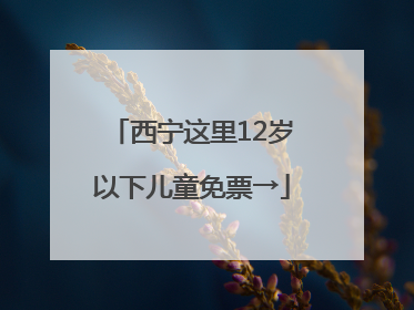 西宁这里12岁以下儿童免票→