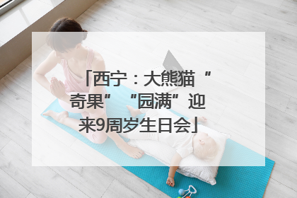 西宁：大熊猫“奇果”“园满”迎来9周岁生日会