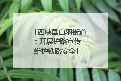 西峡县白羽街道：开展护路宣传 维护铁路安全