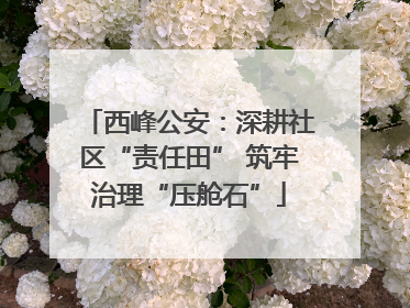 西峰公安：深耕社区“责任田” 筑牢治理“压舱石”