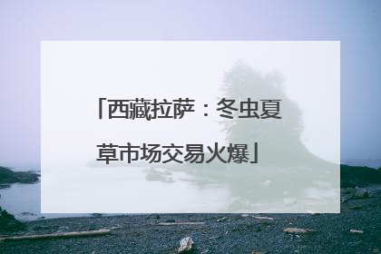 西藏拉萨：冬虫夏草市场交易火爆