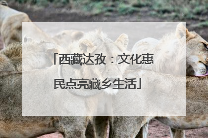 西藏达孜：文化惠民点亮藏乡生活