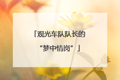 观光车队队长的“梦中情岗”