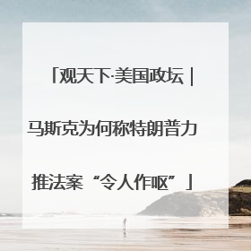 观天下·美国政坛｜马斯克为何称特朗普力推法案“令人作呕”