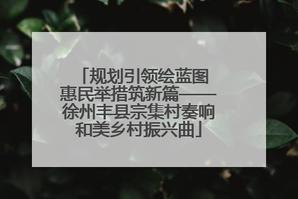 规划引领绘蓝图 惠民举措筑新篇——徐州丰县宗集村奏响和美乡村振兴曲