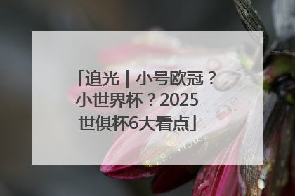 追光｜小号欧冠？小世界杯？2025世俱杯6大看点