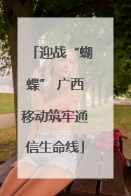 迎战“蝴蝶” 广西移动筑牢通信生命线