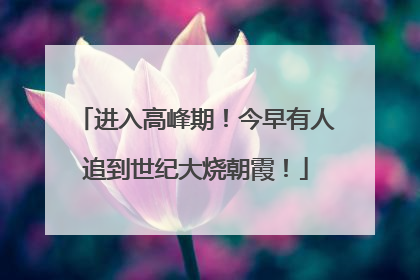进入高峰期！今早有人追到世纪大烧朝霞！