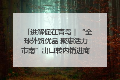 进解促在青岛｜“全球外贸优品 聚惠活力市南”出口转内销进商超专场活动启动