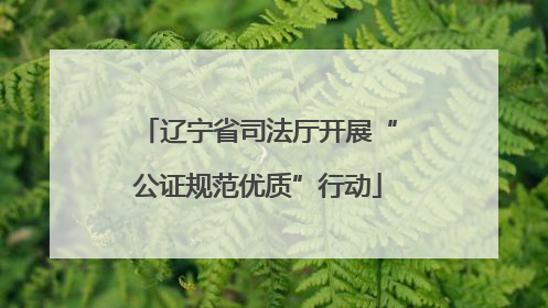 辽宁省司法厅开展“公证规范优质”行动