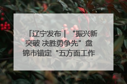 辽宁发布｜“振兴新突破 决胜勇争先”盘锦市锚定“五方面工作”力争全年地区生产总值增长5.5%左右