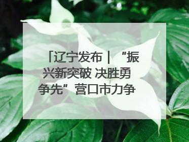辽宁发布｜“振兴新突破 决胜勇争先”营口市力争上半年GDP增长6%左右