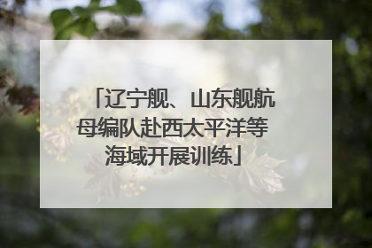 辽宁舰、山东舰航母编队赴西太平洋等海域开展训练