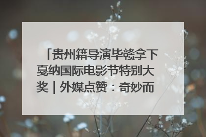 贵州籍导演毕赣拿下戛纳国际电影节特别大奖｜外媒点赞：奇妙而广阔的纯粹电影梦