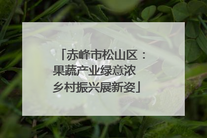 赤峰市松山区：果蔬产业绿意浓 乡村振兴展新姿