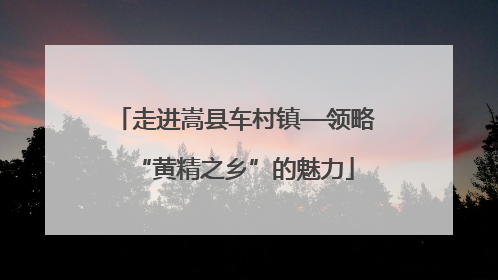 走进嵩县车村镇—领略“黄精之乡”的魅力