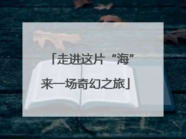 走进这片“海”来一场奇幻之旅