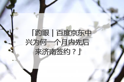 趵眼｜百度京东中兴为何一个月内先后来济南签约？