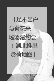 足不出户与荷花来一场浪漫约会！湖北推出赏荷地图