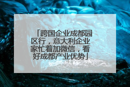 跨国企业成都园区行，意大利企业家忙着加微信，看好成都产业优势