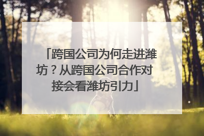 跨国公司为何走进潍坊？从跨国公司合作对接会看潍坊引力