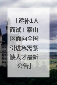 递补1人面试！泰山区面向全国引进急需紧缺人才最新公告