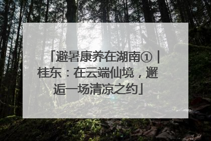 避暑康养在湖南①｜桂东：在云端仙境，邂逅一场清凉之约