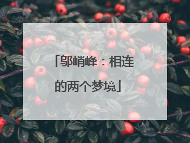 邬峭峰：相连的两个梦境