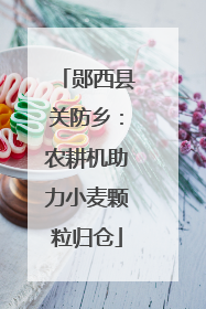 郧西县关防乡：农耕机助力小麦颗粒归仓