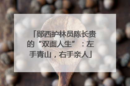 郧西护林员陈长贵的“双面人生”：左手青山，右手亲人