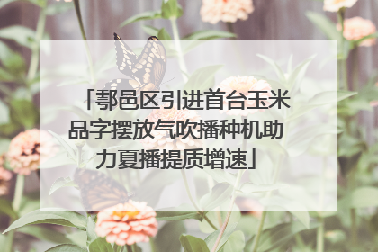 鄠邑区引进首台玉米品字摆放气吹播种机助力夏播提质增速