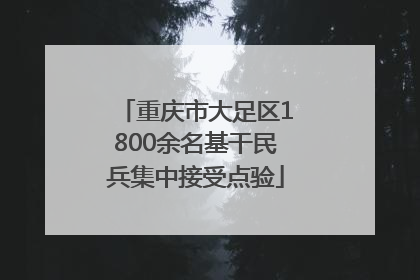 重庆市大足区1800余名基干民兵集中接受点验